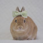 モヤっと