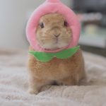 言うといてー！