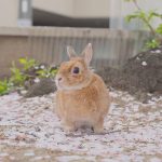 どうなんかな？