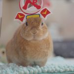 病院で聞いたら