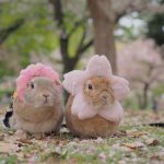 みんなはどう？