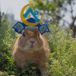 クシクシって大事！