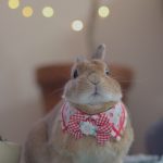 質問があったんで