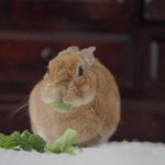 あったかくなってきたねー！