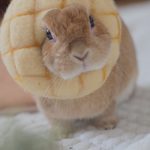 インスタやり始めた頃