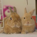 良かれと思ってたこと