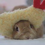 かんぺいちゃん