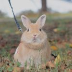 どうも思わないよ？