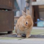 う〜ん