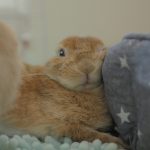 好き勝手書いたけど