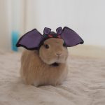 しつもーーーん！！