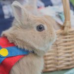 喧嘩売りまくり