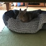 じみちゃんの不思議