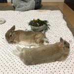 じみちゃん来てから