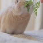 じみちゃんのパニック