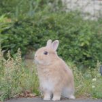 荒れてんなーw
