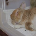 ちょっとイラッと