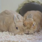 今更やけど
