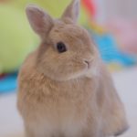 追い付かん！！