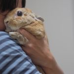 おっさんの第一声