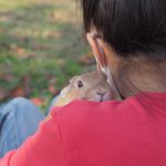 ぺーの時も思ったけど