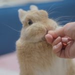 かんぺいちゃん