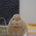 心配おかけして