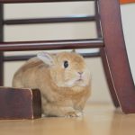 ようわかってる