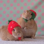 思い出してみた