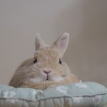 寝る前に