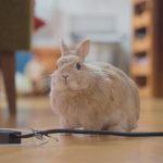 びっくり