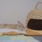 えらいこっちゃ