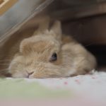 じみちゃん