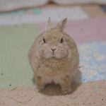 テンション