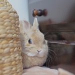 さ、さ、さむい